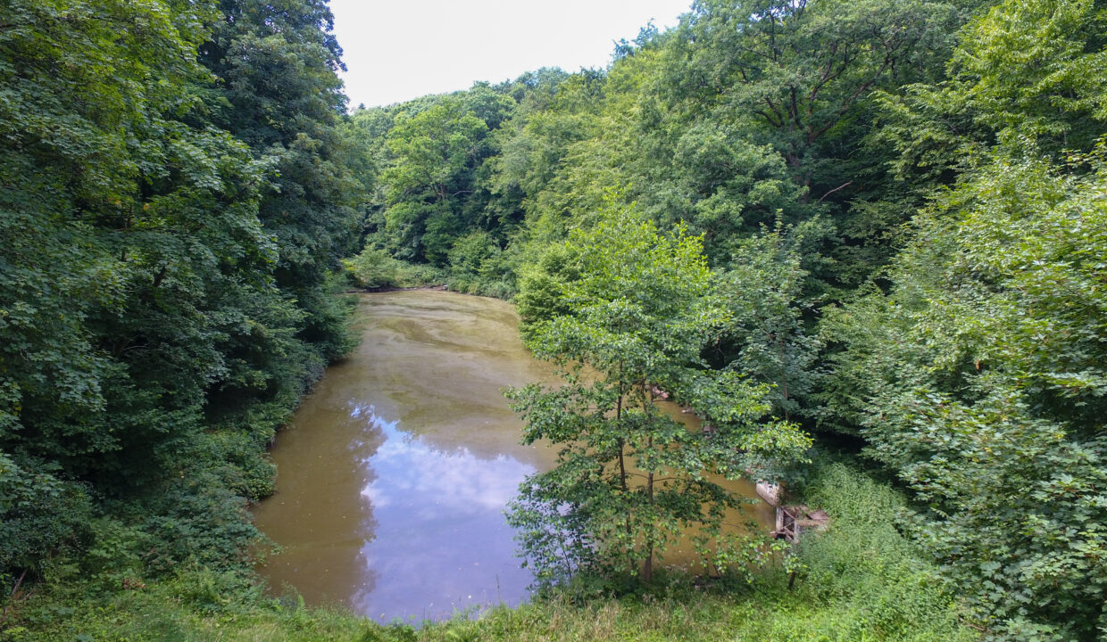 DCIM100MEDIADJI_0430.JPG